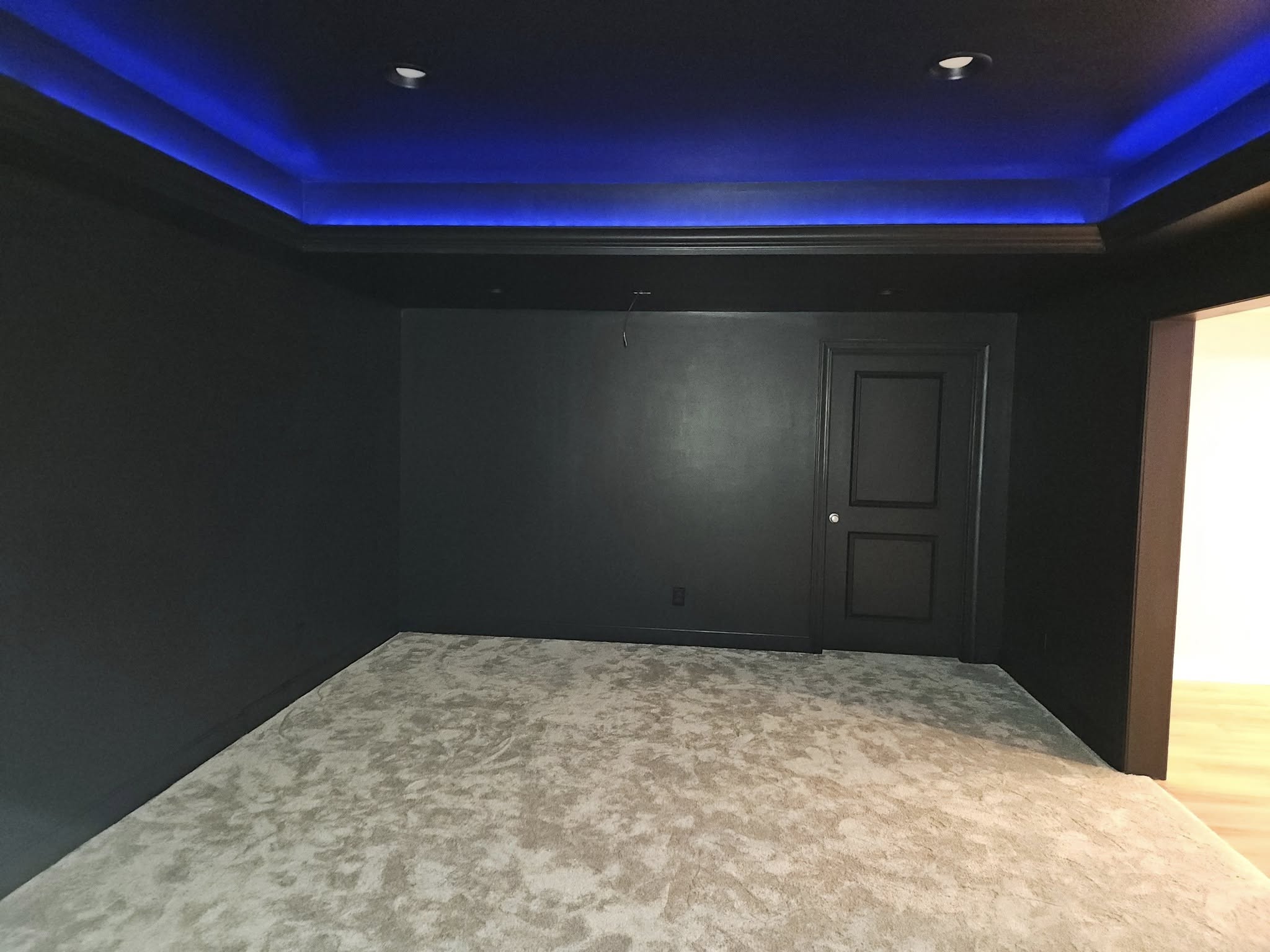 Basement Media Room